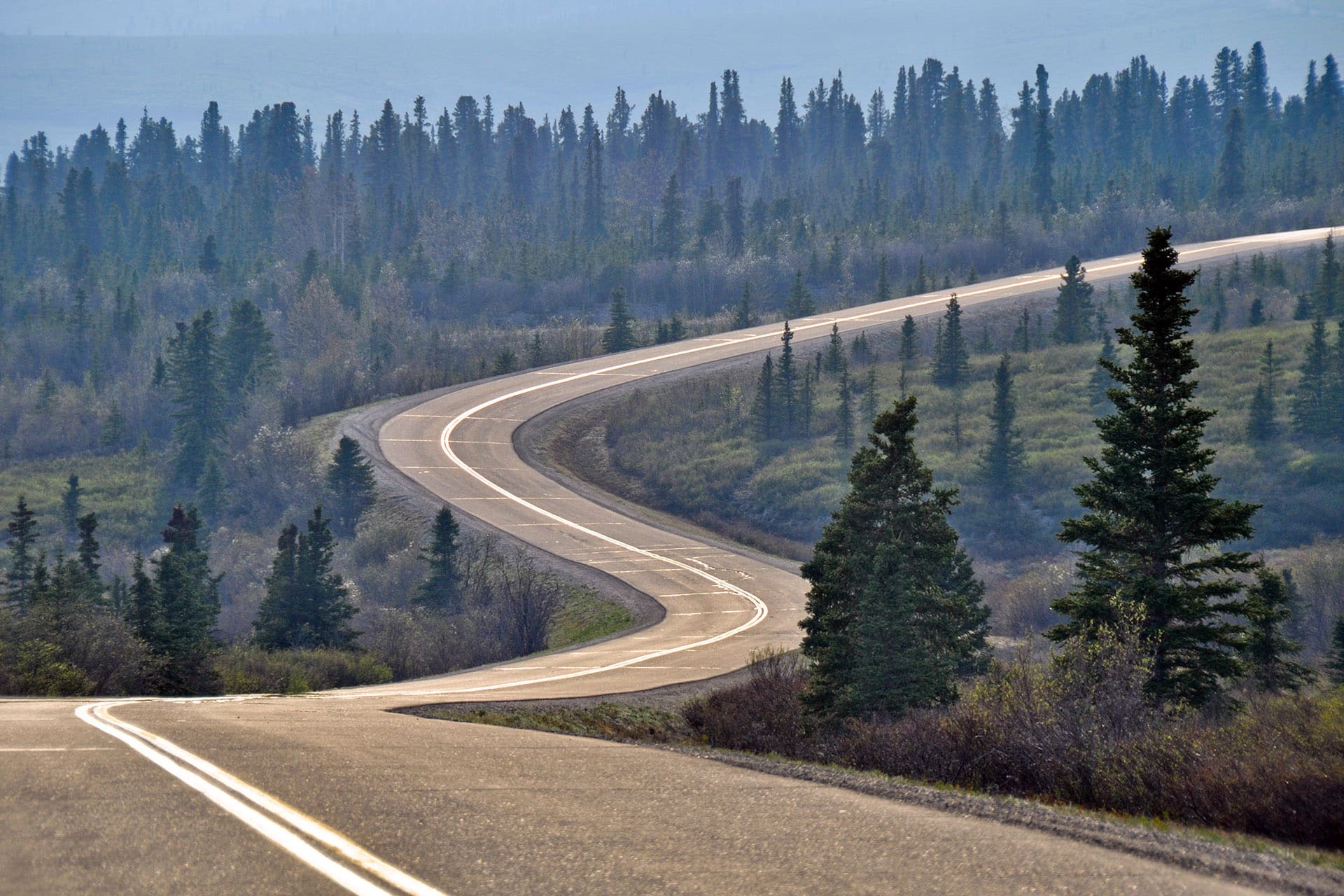 The Long and Winding Path of the Cook