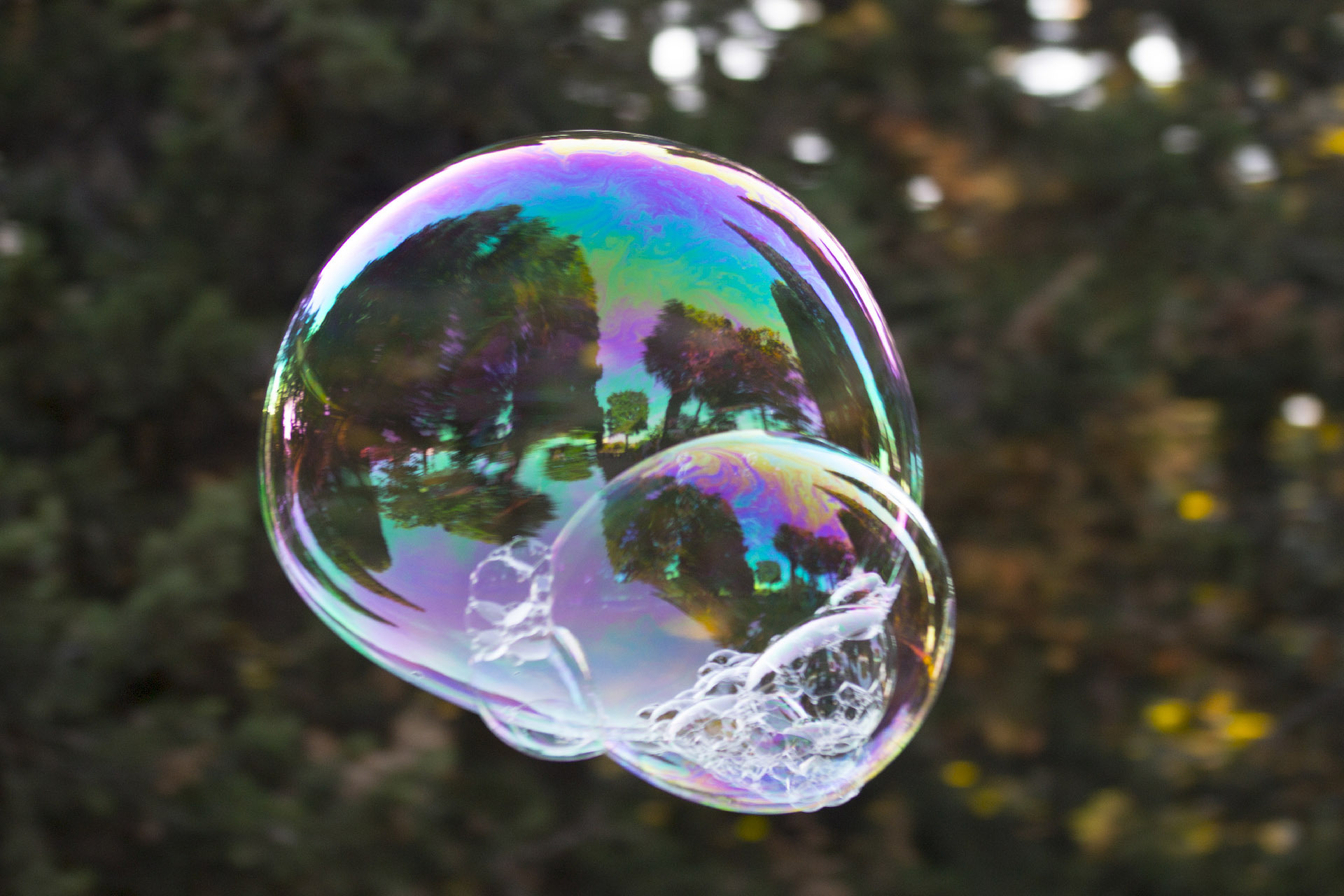 bubble