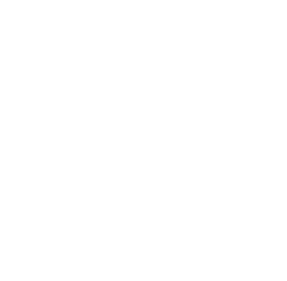 Coconut Lizard