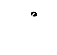 Coconut Lizard