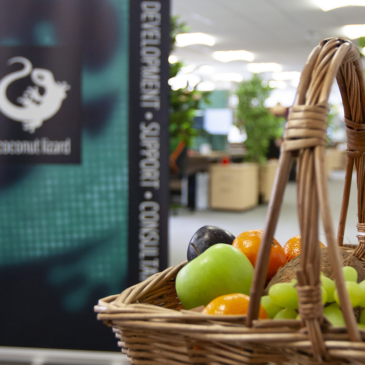 About - Fruit